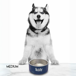 Customizable Polar Camel Pet Bowl - Perfect for Pets