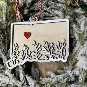 Custom State Christmas Ornament | All 50 States Available